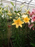 [5177 Corcovado No02.JPG]